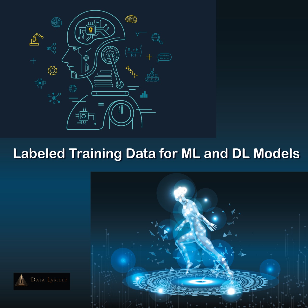 What is the Training Data?