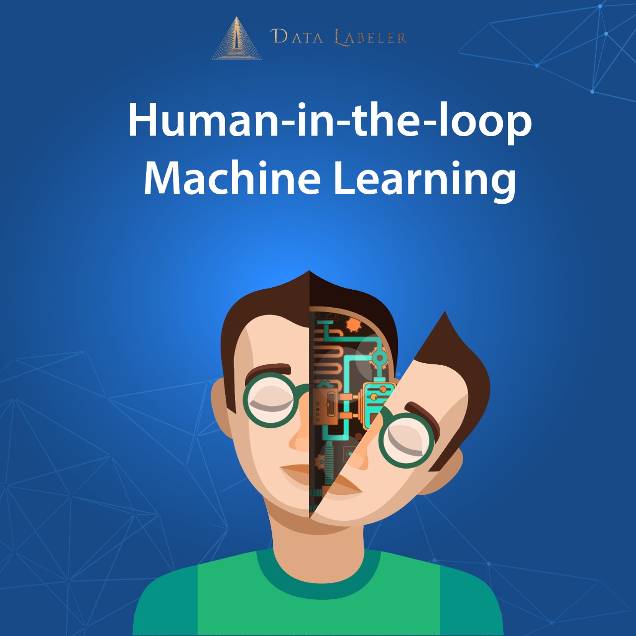 Human-in-the-Loop Machine Learning