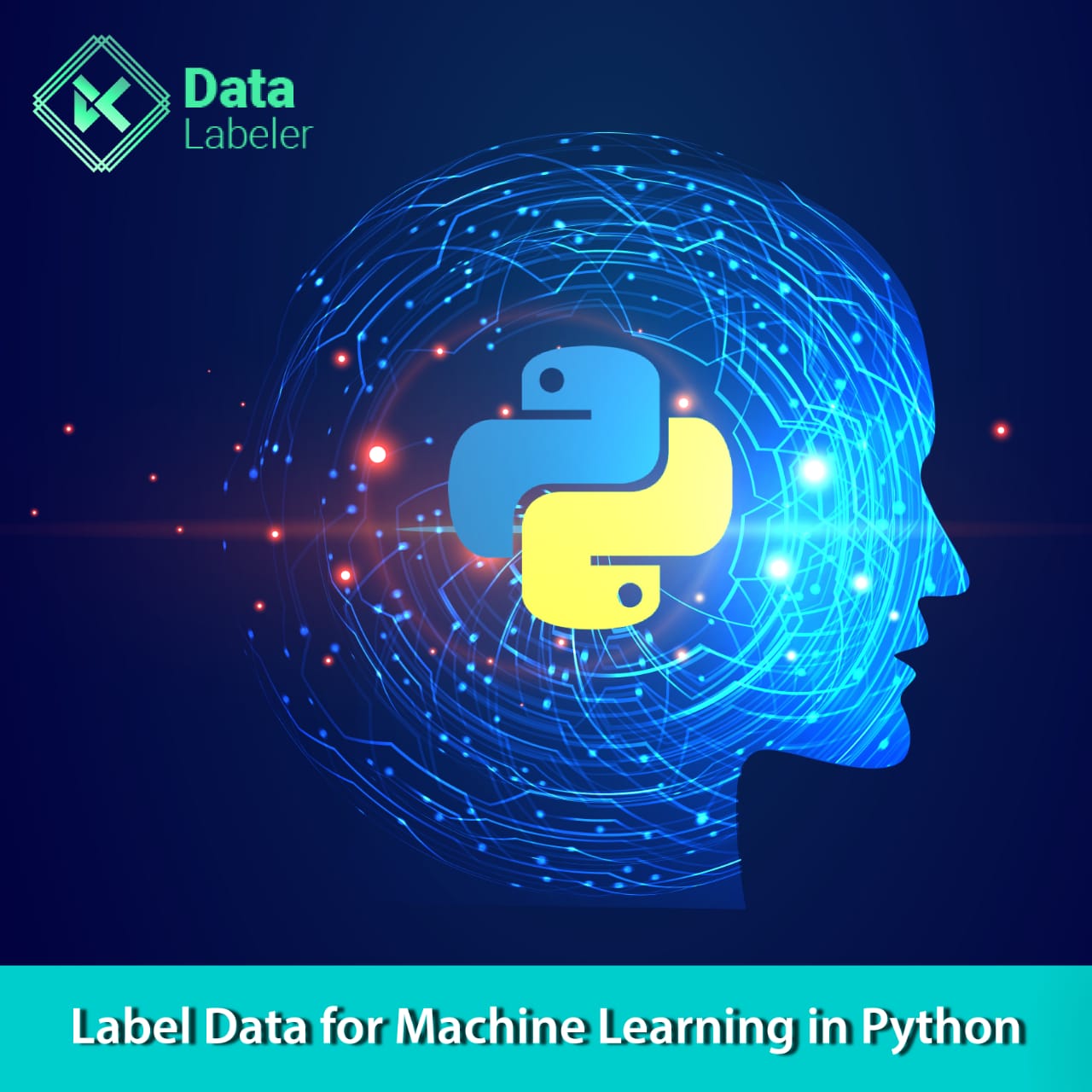 How to Label Data for Machine Learning in Python?