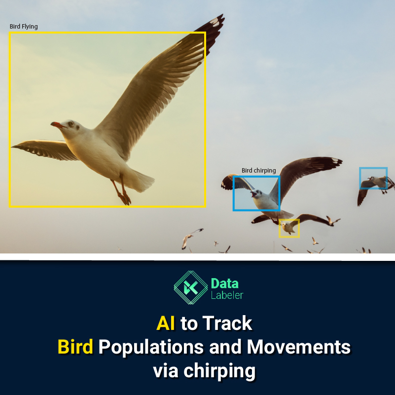 AI to Track Bird Populations and Movements via chirping