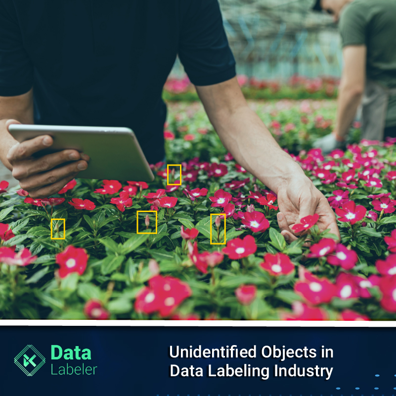 Unidentified Objects in Data Labeling Industry