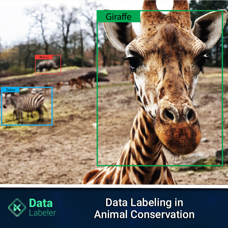 Data_Labeler-annatation and labeling-animal conservation