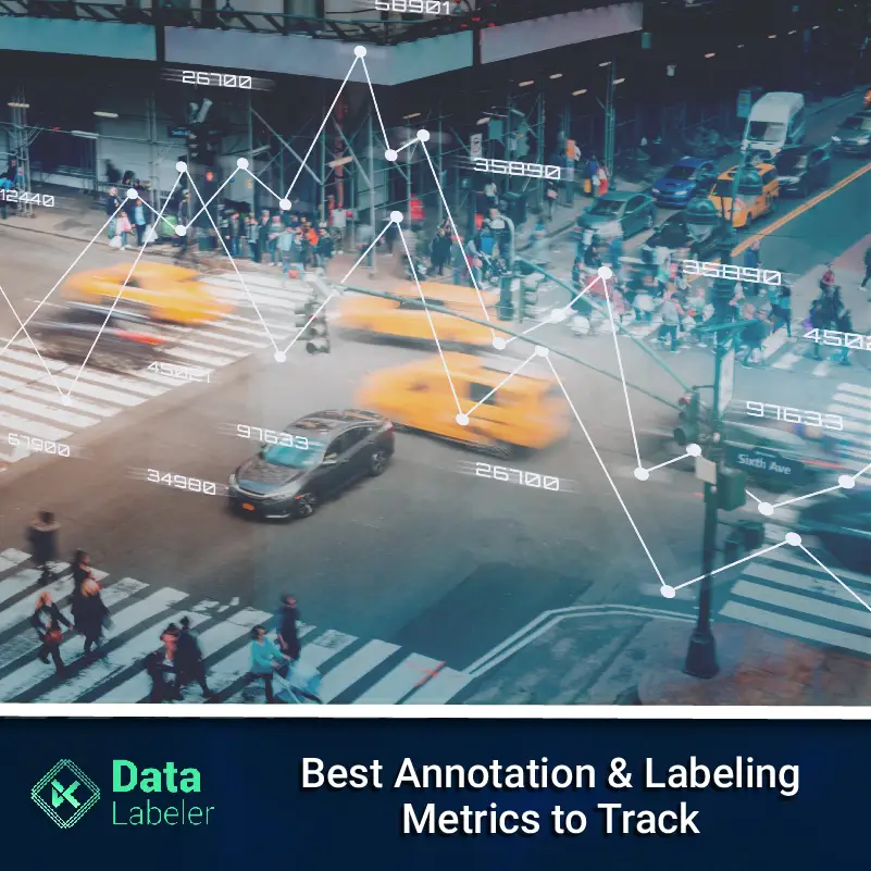 Data_Labeler-best Annotation -Labeling Metrics