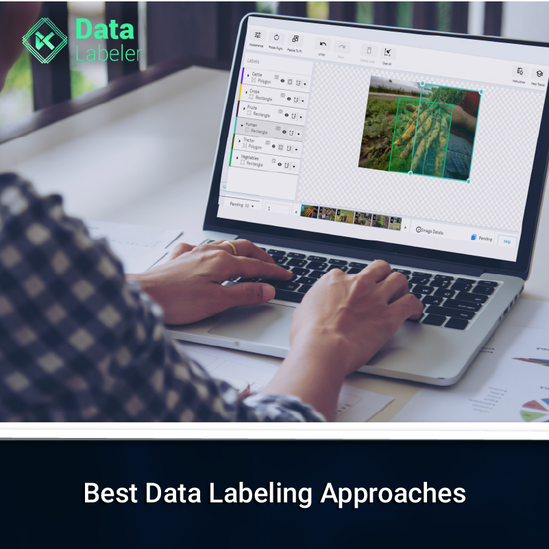 Determine the best Data Labeling Approaches and know what’s best for you?