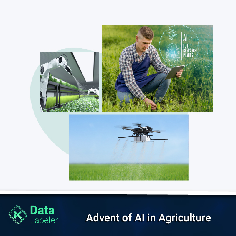 Data_Labeler_ai_agriculture