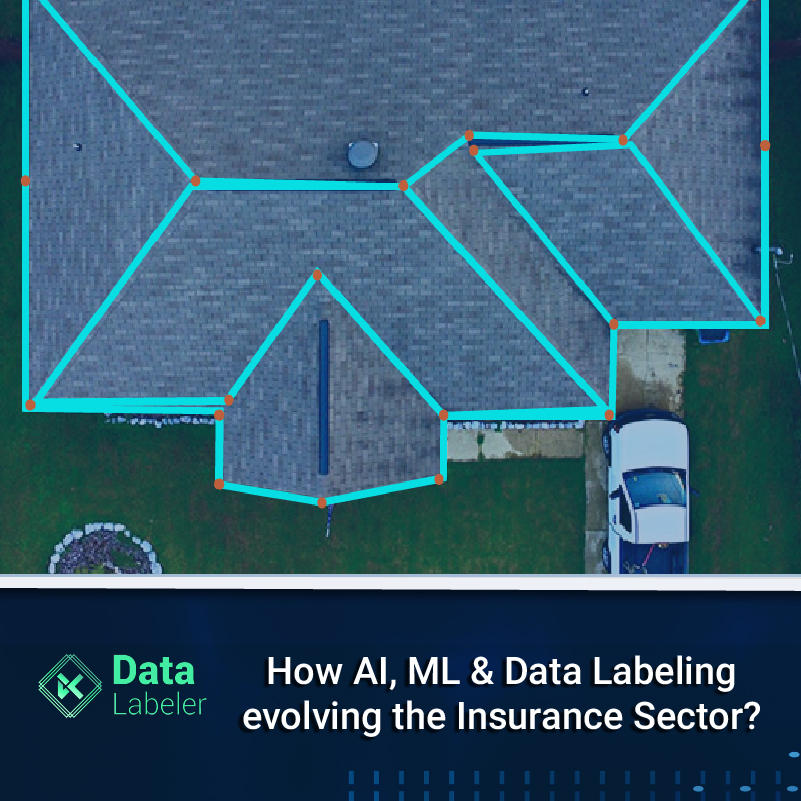 Present Day Use Case Scenarios of Data Labeling in Insurance Sector