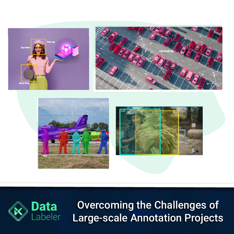 Data_Labeler - Overcoming the Challenges of Large-scale Annotation Projects