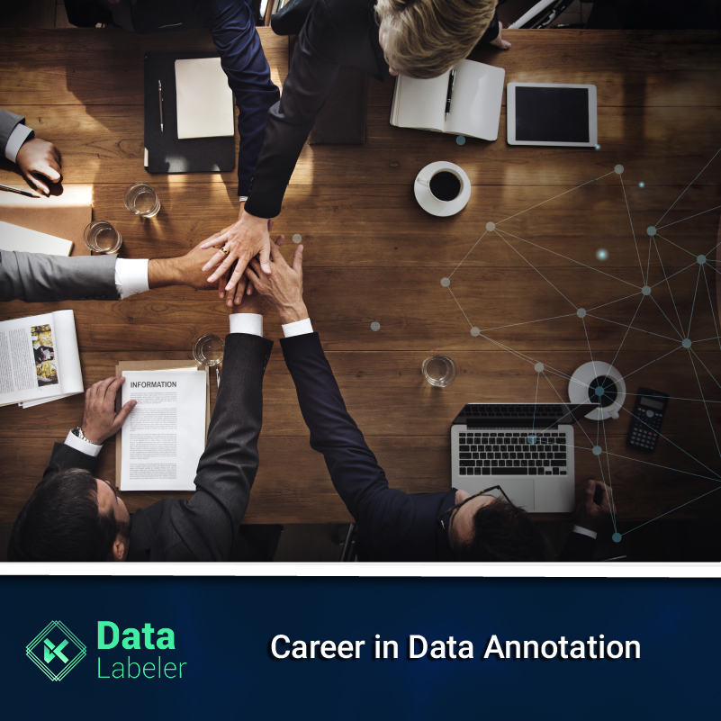 Career in Data Annotation